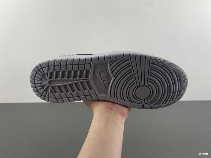 Rep 1 Jordan Barons CZ0790-110 Air OG Low 0810
